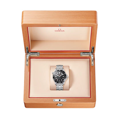 Seamaster Diver 300M 42mm - Black on Bracelet